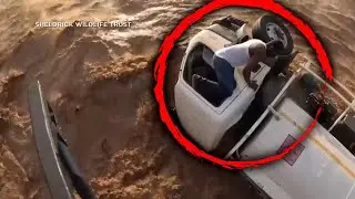 Truck Driver Rescued From Raging River in Kenya