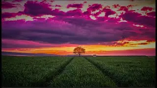 Eso Tumi Amar Prane - Prabhat Sangeet song #2576 - Singer - Dhrubajyoti Sinha