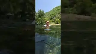 Los Amiales 🏊&zwj;♂️ 🥽 🐟 🐠