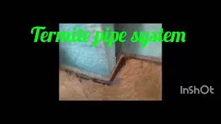 Termite Pipe Reticulation #termitepipesystem #pestcontrolservice