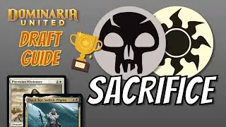 🏆 How to Draft 