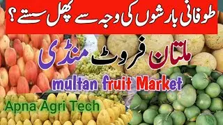 multan fruit mandi today update.
