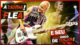 O GÊNIO DO GROOVE - FLEA BASS (Red Hot Chili Peppers)