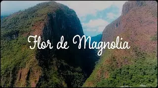 Flor De Magnolia- Lyric Video