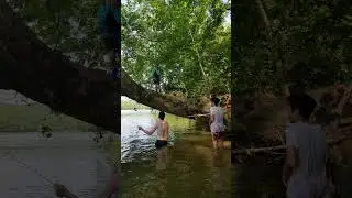 The Great Swing Tree on the Staunton River - Kayaking Virginia