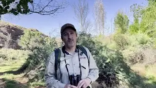 Every bird counts: Southern Utah biologist seeks rare species in dense foliage