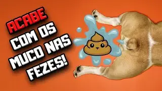 7 alimentos que CAUSAM MUCO NAS FEZES de Cães e Gatos | Dr Edgard Gomes | Alimentação natural Cães