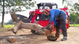 BackTrack - Flood Recovery