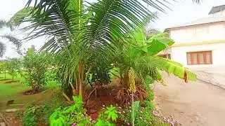 Farm lasanpur. Sacali. Vadodra