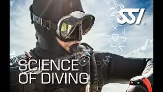 SSI Science of Diving: Part 2 - Exploring the Depths | Night 2