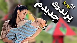 ولاگ بزرگ شدن ریچ😍 ۲۱ روز با ریچ حیوان خانگی جدیدمون، 21Days  Timelapse Baby Bird Growth