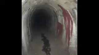 New Trauma - Mega Trending