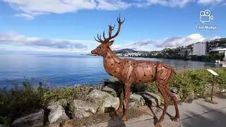 A place where MONTREUX JAZZ FESTIVAL ROCK AND ROLL