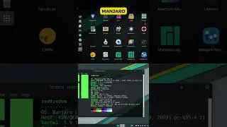 🌟🐧 Las 5 Mejores Distribuciones Linux de 2024! 🚀💻