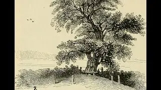 The Charter Oak