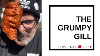 TGG - Birthday Pods at The Grumpy Gill MUCH ❤️ Chocolate T-Rex, Star scream and more!