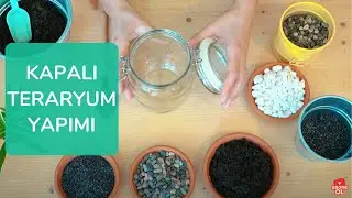Kapalı Teraryum Yapımı - La Planta