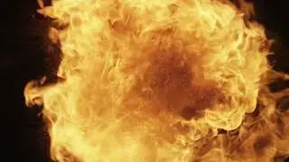 Anvil Ease - dip (official music video)