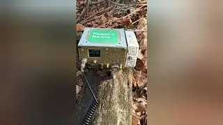 Аматор, прогулка на речку.