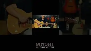 FENDER - Sting - Shape Of My Heart - MUSIC SELL