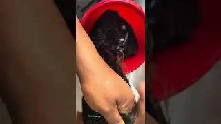 How to revive your old wig#hairstylist