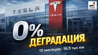 0% деградации за 10 месяцев &mdash; Tesla Model Y Juniper 