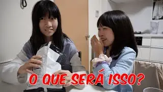 BATATA CHIPS COM SABORES - 15112025
