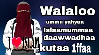 walaloo Afaan oromo 2022