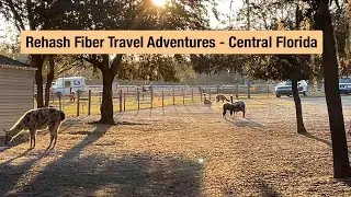 Rehash Fiber Travel Adventures - Central Florida