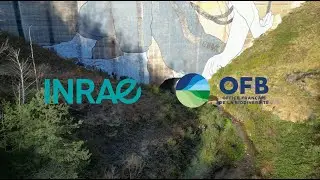 Mesure du débit d'un cours d'eau par la méthode d'exploration du champ des vitesses