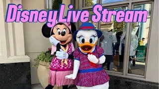 Hanging out at Disneyland
