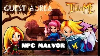 quest tibiame Aurea Npc Malvor