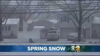 Freak Spring Snowstorm Dumps Up To 5 Inches Of Snow On Long Island