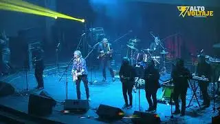 Maicito - Pelo d'Ambrosio