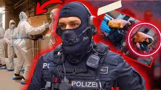 Wie 35,5 Tonnen Kokain entdeckt wurden!