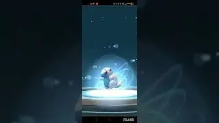 I have a new Shiny blue Ice  Pok&eacute;mon +evolving it (Pok&eacute;mon Go sandshrew community day)