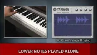 Mastery of Sound - String Resonance