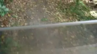 Bigfoot gets hit by a car