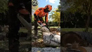 STIHL Power: &Epsilon;&kappa;&epsilon;ί &pi;&omicron;&upsilon; &eta; &delta;ύ&nu;&alpha;&mu;&eta; &sigma;&upsilon;&nu;&alpha;&nu;&tau;ά &tau;&eta;&nu; &alpha;&kappa;&rho;ί&beta;&epsilon;&iota;&alpha;! 🪚🔥#stihl #stihlgreece#power #logging #arborist