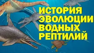 Водные и Вторичноводные рептилии С перми до мела