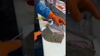 tuto turbo en filet #fish #filetdepoisson #fishing #poissonnerie  #poissonfrais #chefpoissonnier