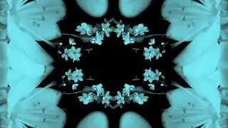 Beacon - Split in Two (Live Visual)