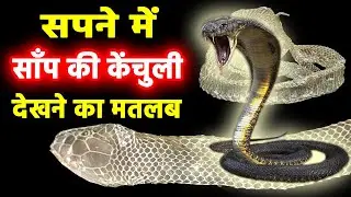 Sapne me saap ki kechuli dekhna | seeing snake skin in dreams | saap ki kachuli ka sapna dekhna