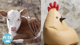 Bottega Veneta&rsquo;s Leather Chairs Scream Cruelty, Not Luxury | PETA