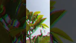 Nature🏞️🌁🌥️#@Advance.education247