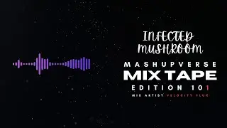 Tribute Mix | Infected Mushroom | Mashup Verse Mix Edition 101