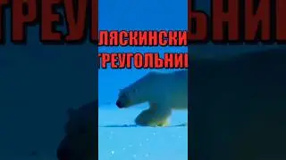 Аляскинский треугольник! СМОТРИТЕ ПОЛНОЕ ВИДЕО!