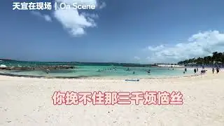 《私奔》词：天宜 曲 / 唱：AI（Suno） 影像：天宜 #天宜在现场