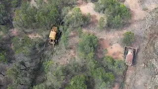 Two bulldozers with a drag chain clearing bush