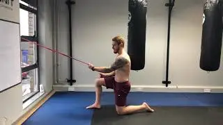 Single Arm Scap Retraction To Row (Improve Scapula Mobility)